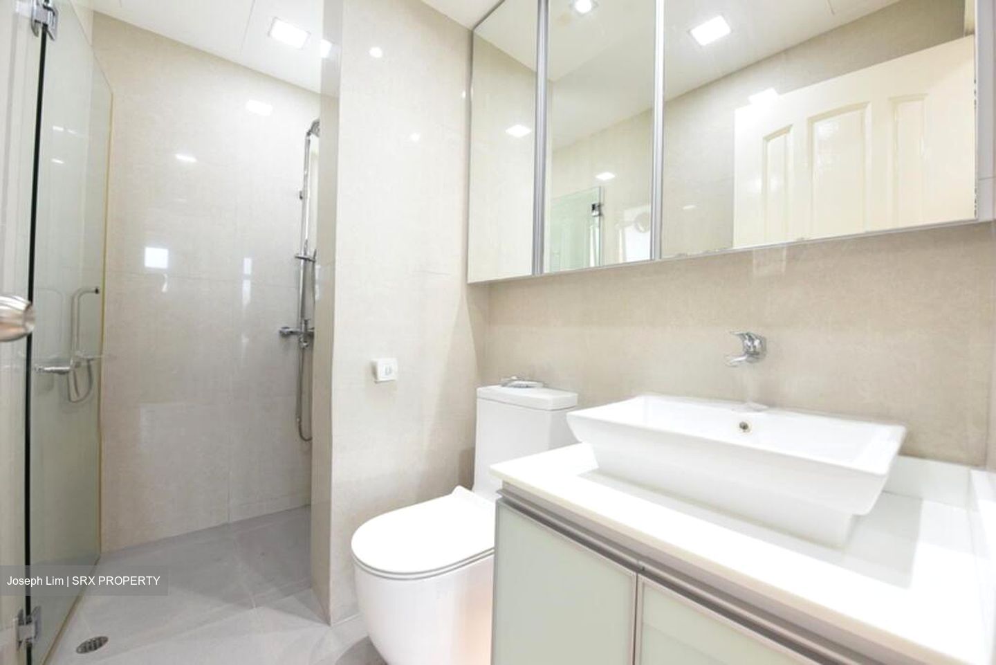 Spring Grove (D10), Condominium #523143611